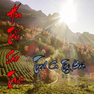 Tình Ca Tây Bắc (Hòa Tấu Sáo Trúc)