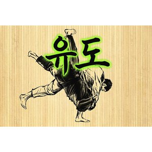Judo (Can't Stop Me from Falling)