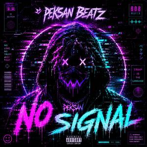 NO SIGNAL