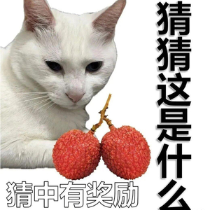 我这边下雨，你呢