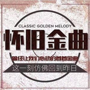 说谎的爱人 伴奏