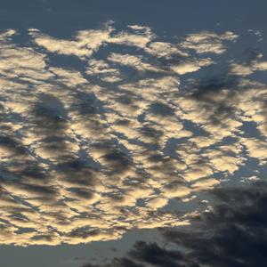 他朝若是同淋雪，此生也算共白头