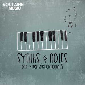 The Lion (Markus Homm Remix)