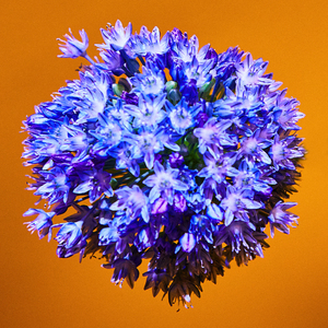 Better (Feat. 기리보이)