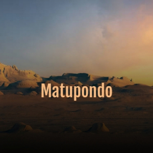 Arnie The Bumbling Cat Burglar