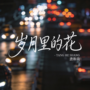 岁月里的花（热播版）