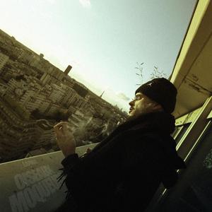 oiseaux moqueurs (archive tout me fait sourire 2K23)