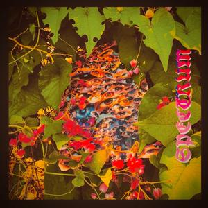BACKWOOD BROWN (feat. VERDIN)
