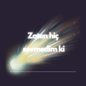 Zaten Hiç Sevmedin Ki