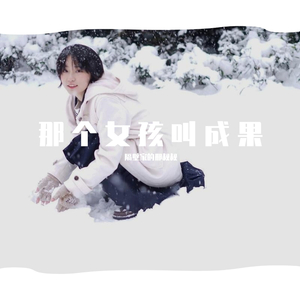 此生只图成果果（未修改）