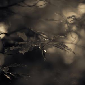 Omega (Slowed + Reverb)