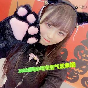 DJ国飞-2022酒吧小场专用气氛串烧（DJ国飞 remix）