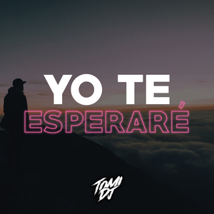 Yo Te Esperare (Remix)