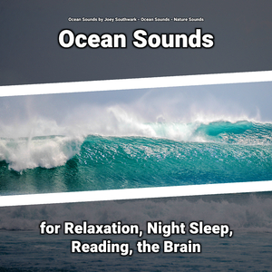 Ocean Sounds for Sleep
