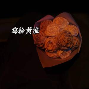 写给黄淮(Demo)_青冢