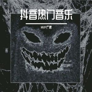 paqat 车载电音