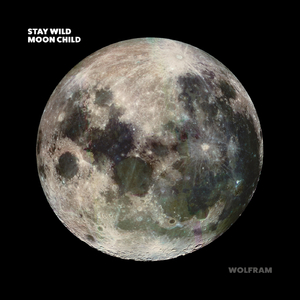 Stay Wild Moon Child