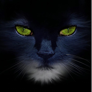 世界上最伤心的人