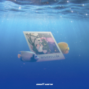 Introspección (Outro)