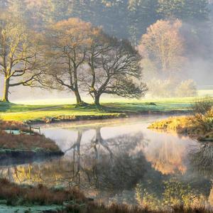 最熟悉的陌生人