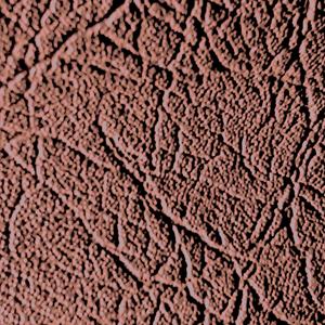 Mailman Near Me (feat. My Exchange)