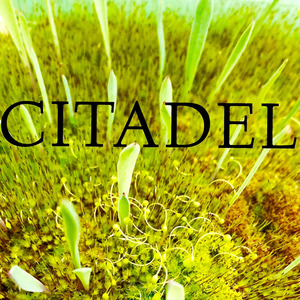 Citadel