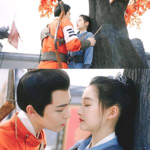 风花（超甜）（翻自 侯明昊）