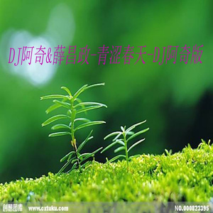 青涩春天 (DJ伴奏)