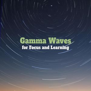 Binaural Gamma Sinus 80-120 Focus