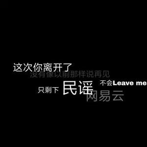 《我不是你的宋冬野》