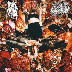 BED OF ROACHES ****ING SUCKS