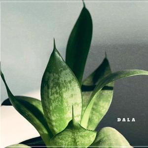DaLa