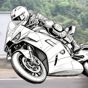 张目乘风·逐光驭雪