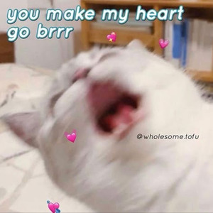 Ricomincerai a ridere