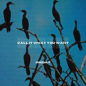 Can You Hear The Water Run?