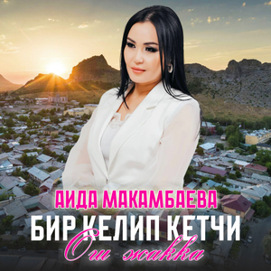 Бир келип кетчи Ош жакка