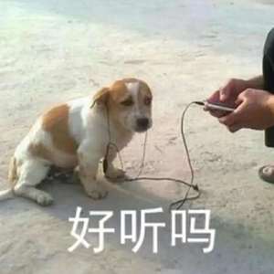 第几个我（翻自 封茗囧菌）