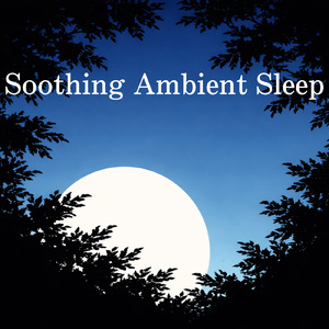 心が落ち着くクルミ割りピアノ