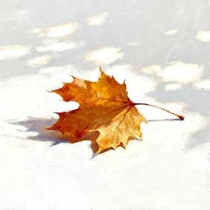 梧桐树下的约定