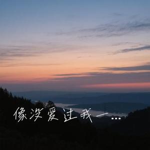 像没爱过我一样 (Cover 赵乃吉)
