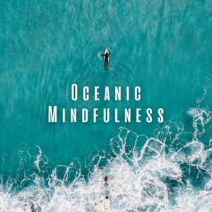 Harmonious Concentration Zone