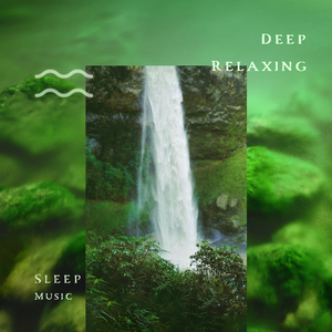 德弗札克: 归乡 (柴火虫鸣)