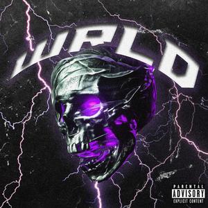 Wrld (feat. daanitr)