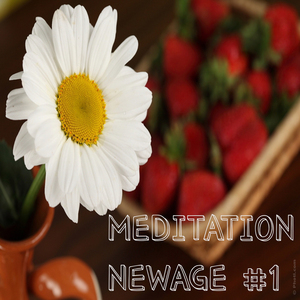 벚꽃이 지는 계절