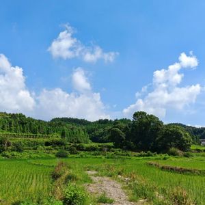 青春校园的欢快乐章
