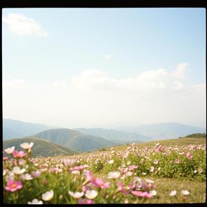 여름은 그런 계절