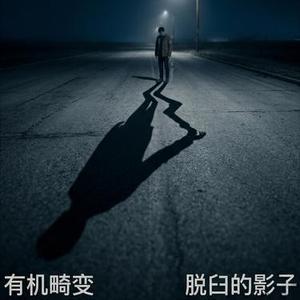 脱臼的影子