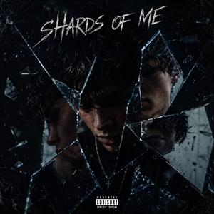 Shards Of Me