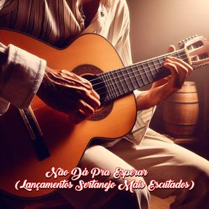 Não Dá Pra Esperar (Lançamentos Sertanejo Mais Escutados)