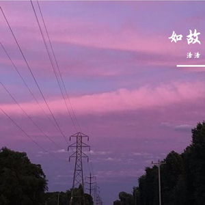 董小姐（翻自 宋东野）